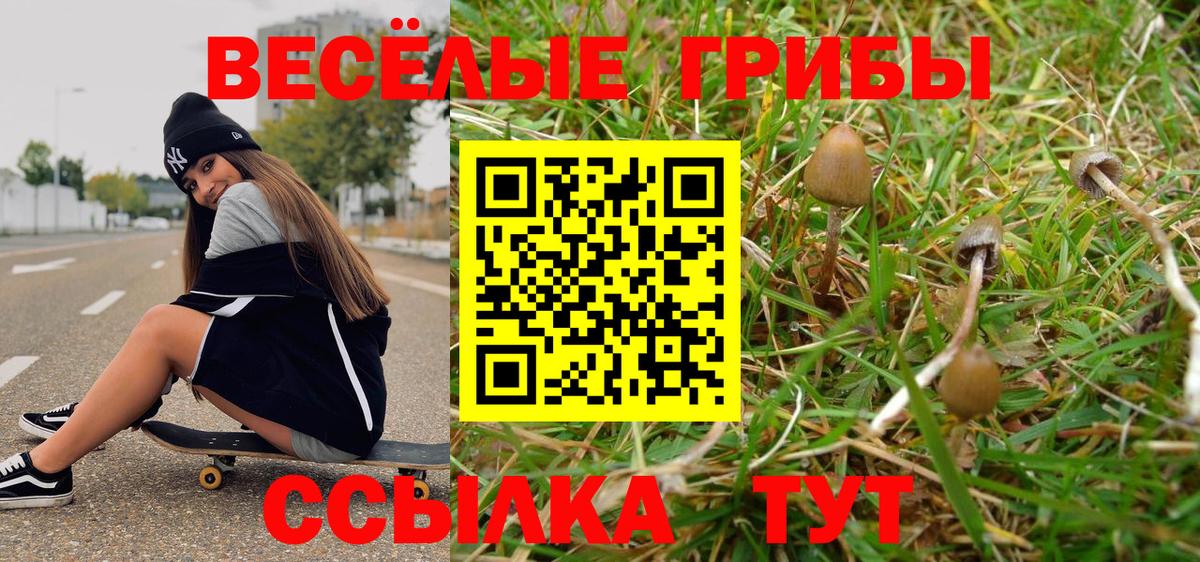 Елабуга  Псилоцибиновые грибы мухоморы  Вход с VPN 