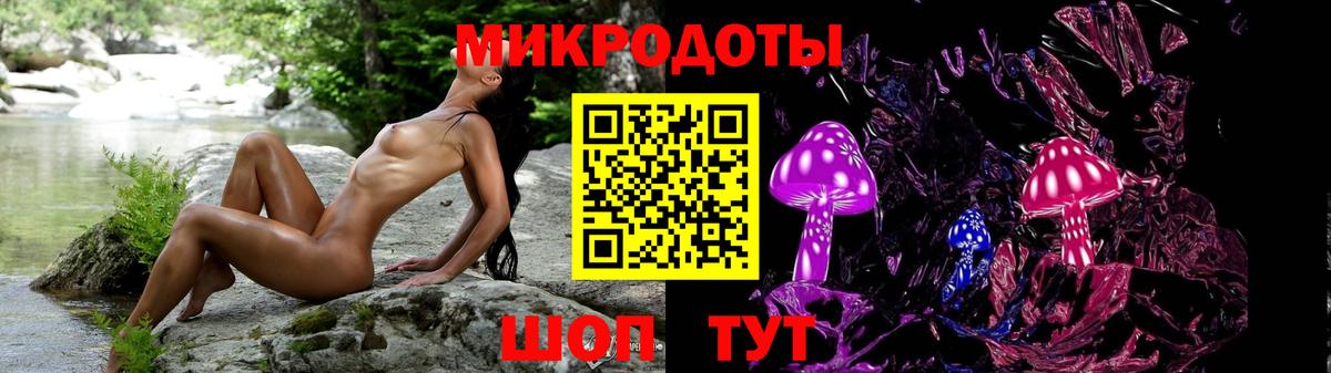 Галлюциногенные грибы Psilocybine cubensis Елабуга